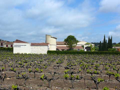 Domaine de la Mordorée, Tavel