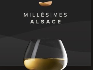Salon des Vins d’Alsace, Colmar