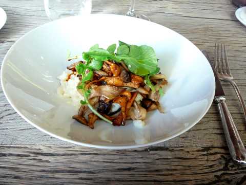 Risotto carnaroli, chanterelles